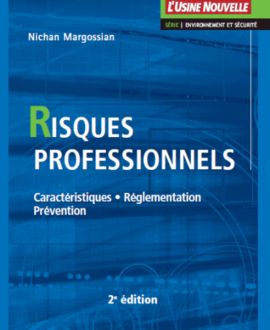Risques professionnels : Caractéristiques, Réglementation, Prévention 2e édition