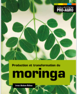 Production et transformation du moringa