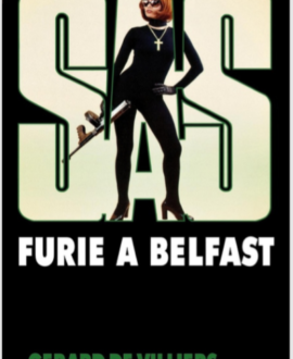 SAS N° 036, furie à Belfast