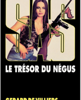 SAS N°045, le trésor du Négus