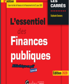 L’essentiel des finances publiques, 8ème édition