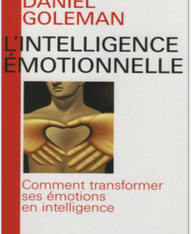 L'intelligence émotionnelle : Comment transformer ses émotions en intelligence