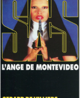 SAS N°031, L'ange de Montevideo