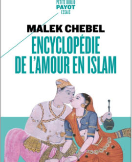 Encyclopédie de l'amour en islam : Erotisme, beauté et sexualité dans le monde arabe, en perse et en Turquie