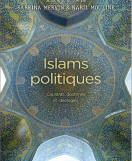 Islam politiques : Courants, doctrines et idéologies
