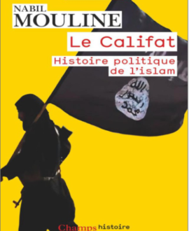 Le Califat : Histoire politique de l'islam